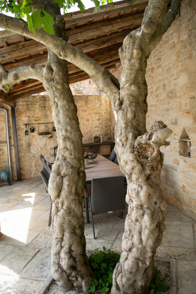 Exterior and surroundings, Neroli Place with heated pool and sauna, Svetvinčenat, Istria, Croatia Svetvinčenat